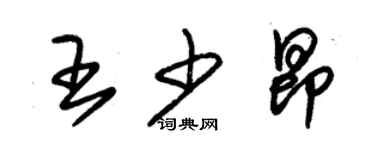 朱錫榮王少昂草書個性簽名怎么寫