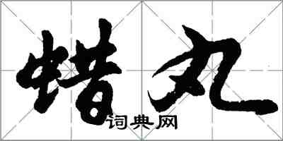 胡問遂蠟丸行書怎么寫