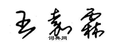 朱錫榮王嘉霖草書個性簽名怎么寫