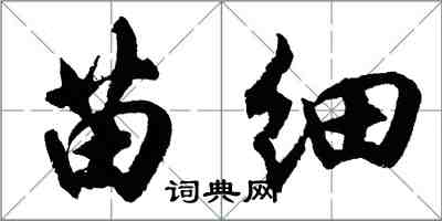 胡問遂苗細行書怎么寫