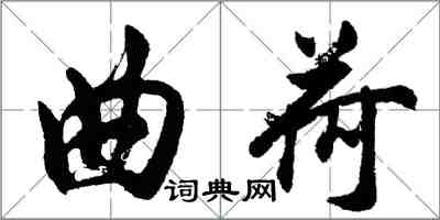 胡問遂曲荷行書怎么寫