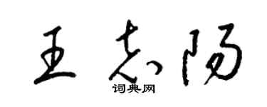 梁錦英王志陽草書個性簽名怎么寫