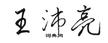 駱恆光王沛亮行書個性簽名怎么寫