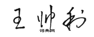 駱恆光王帥利草書個性簽名怎么寫