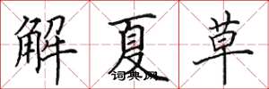 田英章解夏草楷書怎么寫