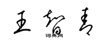 梁錦英王智青草書個性簽名怎么寫