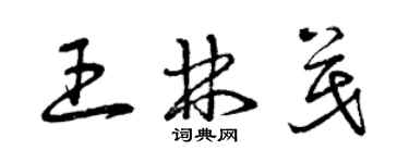 曾慶福王林茂草書個性簽名怎么寫