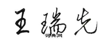 駱恆光王瑞先行書個性簽名怎么寫