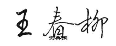 駱恆光王春柳行書個性簽名怎么寫