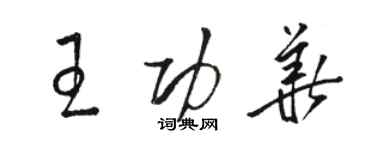 駱恆光王功華草書個性簽名怎么寫