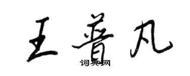 王正良王普凡行書個性簽名怎么寫