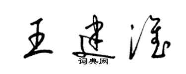 梁錦英王建淮草書個性簽名怎么寫