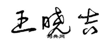 曾慶福王曉吉草書個性簽名怎么寫