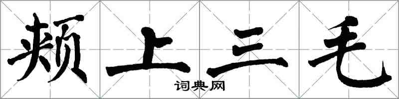 翁闓運頰上三毛楷書怎么寫