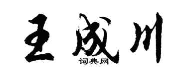 胡問遂王成川行書個性簽名怎么寫