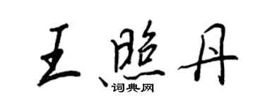 王正良王照丹行書個性簽名怎么寫