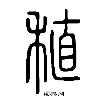 素草書書法_素字書法_草書字典