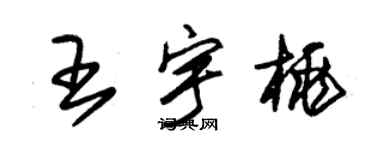 朱錫榮王宇桃草書個性簽名怎么寫