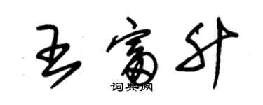 朱錫榮王富升草書個性簽名怎么寫