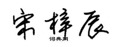 朱錫榮宋梓辰草書個性簽名怎么寫