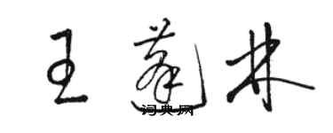 駱恆光王蓬林草書個性簽名怎么寫