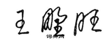 駱恆光王野旺草書個性簽名怎么寫