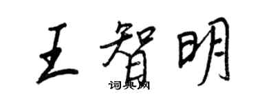 王正良王智明行書個性簽名怎么寫