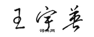 駱恆光王宇英草書個性簽名怎么寫