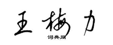 梁錦英王梅力草書個性簽名怎么寫