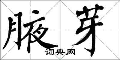 翁闓運腋芽楷書怎么寫