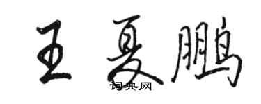 駱恆光王夏鵬行書個性簽名怎么寫