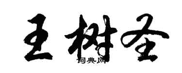 胡問遂王樹聖行書個性簽名怎么寫