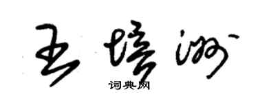 朱錫榮王培洲草書個性簽名怎么寫