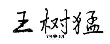 曾慶福王樹猛行書個性簽名怎么寫