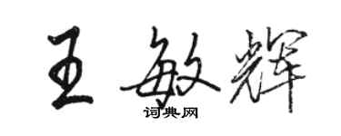 駱恆光王敏輝行書個性簽名怎么寫