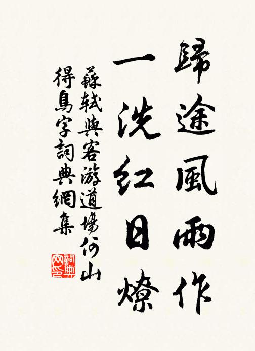 蘇軾歸途風雨作,一洗紅日燎書法作品欣賞