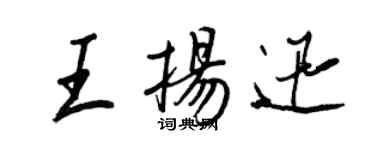 王正良王揚迅行書個性簽名怎么寫