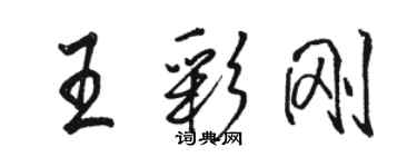 駱恆光王彩剛行書個性簽名怎么寫