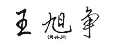 駱恆光王旭爭行書個性簽名怎么寫