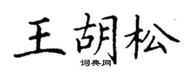 丁謙王胡松楷書個性簽名怎么寫