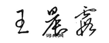 駱恆光王晨霞草書個性簽名怎么寫