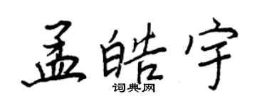 王正良孟皓宇行書個性簽名怎么寫