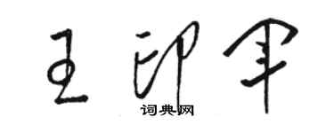 駱恆光王印軍草書個性簽名怎么寫