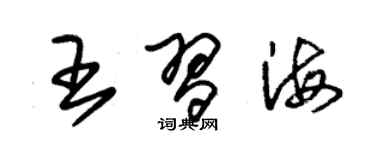 朱錫榮王習海草書個性簽名怎么寫