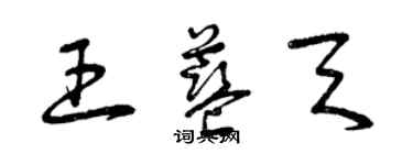 曾慶福王藍天草書個性簽名怎么寫