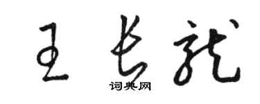 駱恆光王長龍草書個性簽名怎么寫