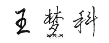 駱恆光王夢科行書個性簽名怎么寫