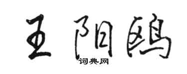 駱恆光王陽鷗行書個性簽名怎么寫