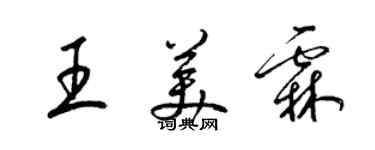 梁錦英王美霖草書個性簽名怎么寫