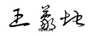 曾慶福王蒙地草書個性簽名怎么寫